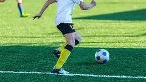 BG真人 产品 231241 794