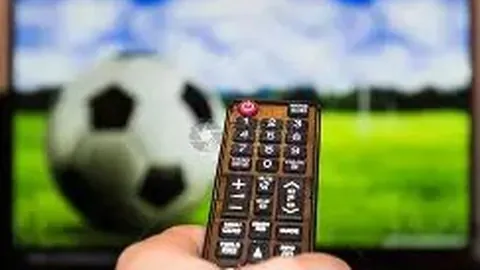 BG真人 产品 231335 3ci