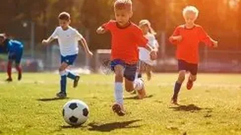 BG真人 产品 231423 xs8