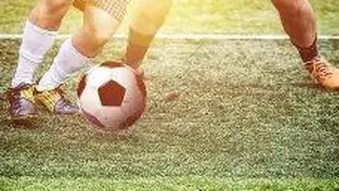 BG真人 产品 101624 btp