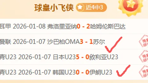 约旦国家队对阵马尔代夫，阿拉里裁判执裁比赛