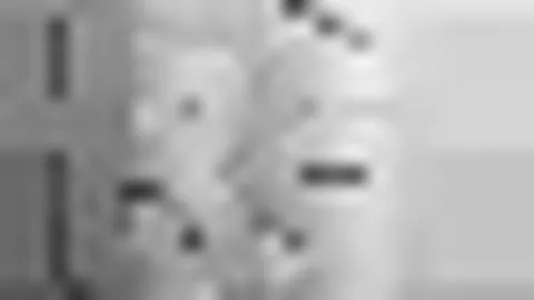 桑乔欧冠首秀再放异彩，多特再夺佳绩