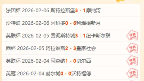 斯图加特3-1击败莱比锡晋级德国杯决赛，霍内斯期待辉煌未来